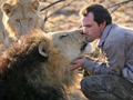 Lion Whisperer Hand Rears Lions