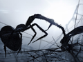 Loom: stunning dramation animation of a moth caught in spider's web Loom: stunning dramation animation of a moth caught in spider's web