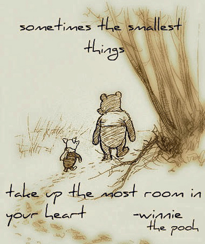 Image result for sometimes the smallest things winnie the pooh