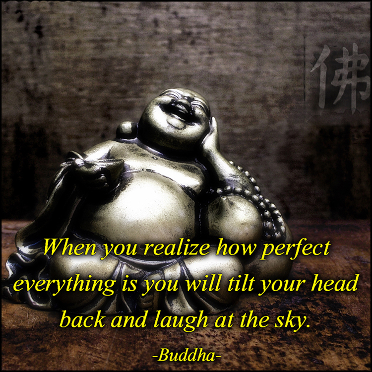 QUOTE] When you realize how perfect everything is you will tilt your head  back and laugh at the sky. | Dawn Productions