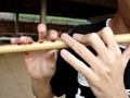 kodo