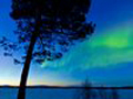 the aurora