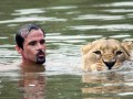 lion-whisperer