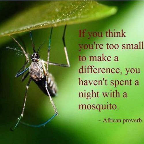 "If you think you are too small to make a difference, try sleeping with a mosquito."