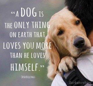 dog love