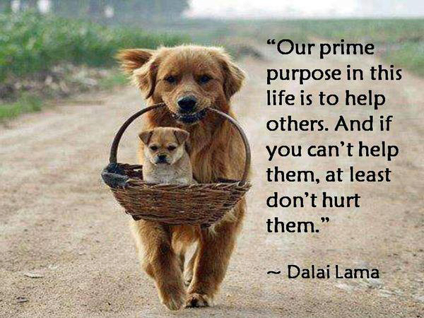 Dalai-Lama_Prime-purpose-in-life
