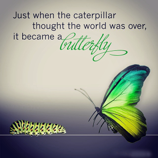 Just when the caterpillar thought the world was over it became a butterfly